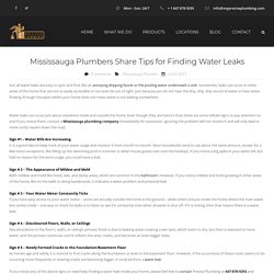 Plumbers Share Tips for Finding Water Leaks - Precise Plumbing