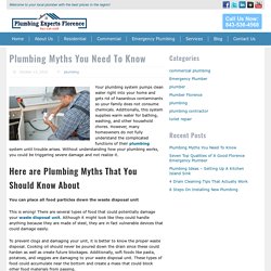 Plumbing Myths You Need To Know