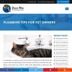 Plumbing Tips For Pet Owners