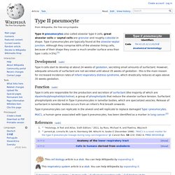 Type II pneumocyte