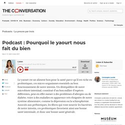 Podcast : Pourquoi le yaourt nous fait du bien - TheConversation