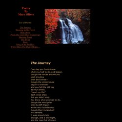 Poetry by Mary Oliver- The Journey, Wild Geese, Morning Poem and Others