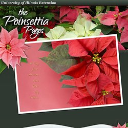 The Poinsettia Pages