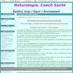 Le poireau, c'est le balai intestinal. - Naturologie, Coach Santé