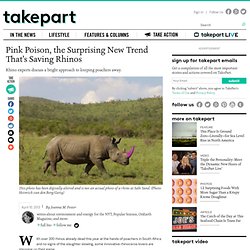 Pink Poison, the Surprising New Trend That’s Saving Rhinos