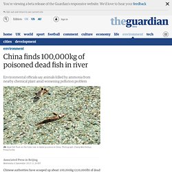 China finds 100,000kg of poisoned dead fish in river