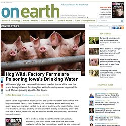 Hog Wild: Factory Farms are Poisoning Iowa's Drinking Water