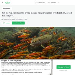 23 fév. 2021 Un tiers des poissons d'eau douce sont menacés d'extinction, selon un rapport - Geo.fr