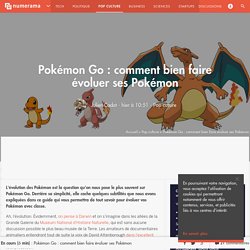 Pokémon Go : comment bien faire évoluer ses Pokémon - Pop culture