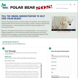 Polar Bear SOS - Take Action!: NRDC