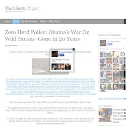 Zero Herd Policy: Obama’s War On Wild Horses–Gone In 20 Years
