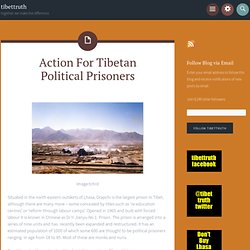 Action For Tibetan Political Prisoners