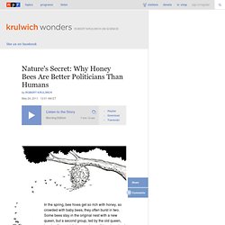 Nature's Secret: Why Honey Bees Are Better Politicians Than Humans : Krulwich Wonders...