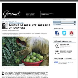 Politics of the Plate: The Price of Tomatoes: 2000s Archive