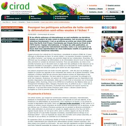CIRAD 25/05/20 Pourquoi les politiques actuelles de lutte contre la déforestation sont-elles vouées à l’échec ?