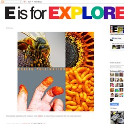 E is for Explore!: Pollination