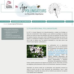 pollinisateurs-nouvelle-aquitaine 22/02/19 LE PLAN RÉGIONAL POLLINISATEURS