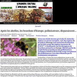 Après les abeilles, les bourdons d'Europe, pollinisateurs, disparaissent...
