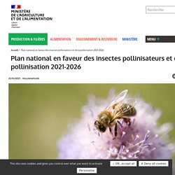 MAA 21/11/21 Plan national en faveur des insectes pollinisateurs et de la pollinisation 2021-2026