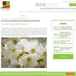 La pollinisation des arbres fruitiers - Société Nationale d'Horticulture de France