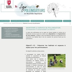 Maintenir le service de pollinisation – Agir pour les pollinisateurs en Nouvelle-Aquitaine