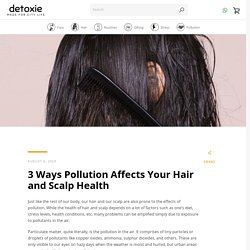 (1) 3 Ways Pollution Affects Your Hair and Scalp Health  – detoxie.in
