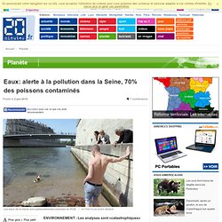 Eaux: alerte à la pollution dans la Seine, 70% des poissons contaminés