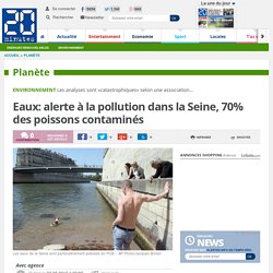 Eaux: alerte à la pollution dans la Seine, 70% des poissons contaminés