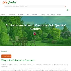 Air Pollution: How To Create An ‘Air Quality’ Garden