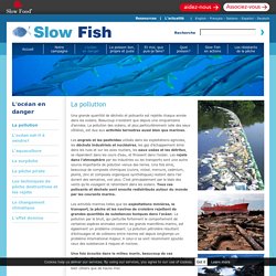 Slow Fish - Local Sustainable Fish