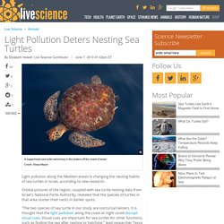 Light Pollution Deters Nesting Sea Turtles