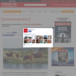 Pollution aux nitrates : la France condamnée à nouveau - Science et vie
