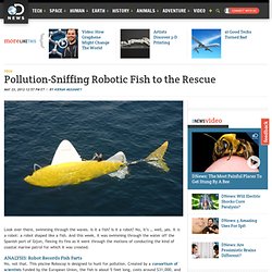 Pollution-Sniffing Robotic Fish to the Rescue