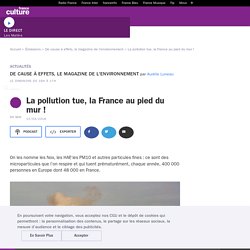 FRANCE CULTURE 11/03/18 DE CAUSE A EFFETS - La pollution tue, la France au pied du mur !