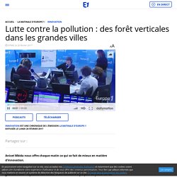 Lutte contre la pollution : des forêt verticales dans les grandes villes