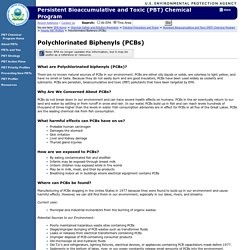 Persistent Bioaccumulative and Toxic (PBT) Chemical Program