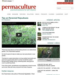 Tips on Perennial Polycultures