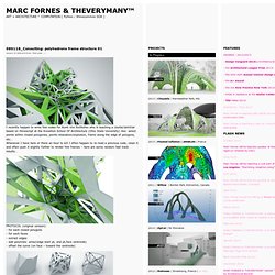 080118_Consulting: polyhedrons frame structure 01