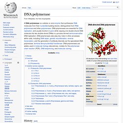 DNA polymerase