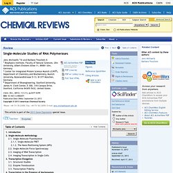 Single-Molecule Studies of RNA Polymerases - Chemical Reviews