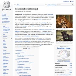 Polymorphism (biology)