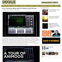 A Tour Of Animoog: Moog’s New Pro Polyphonic Synth iPad App