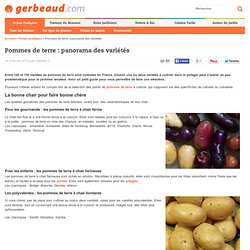 Pommes de terre : panorama des variétés