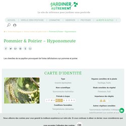 Pommier & Poirier - Hyponomeute