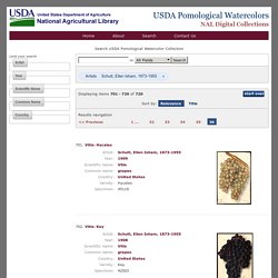 Search USDA Pomological Watercolor Collection