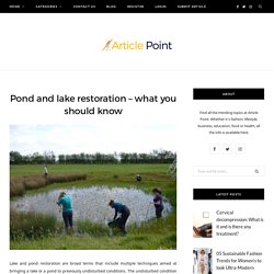 Pond and lake restoration – what you should know