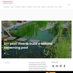 DIY pool: How to build a natural swimming pool