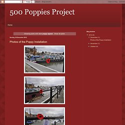 500 Poppies Project: poppy appeal
