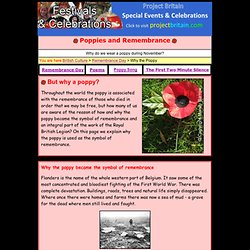 Poppy and Remembrance Day