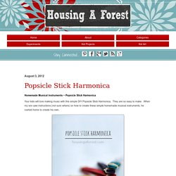 Popsicle Stick HarmonicaHousing a Forest